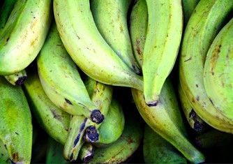plantains-1583222_1920.jpg