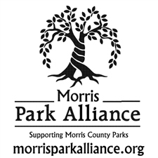 Spring Forward 5K & 10K