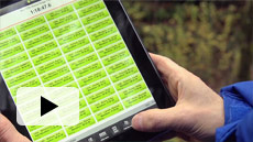 Introduction to Webscorer timing