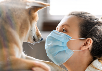 Screenshot 2022-01-25 at 12.48.12.png